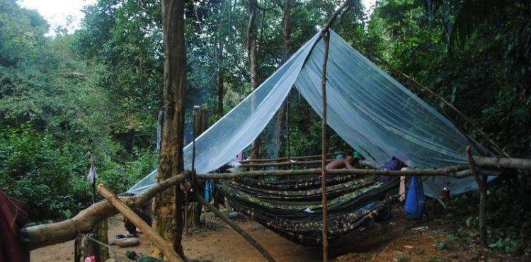 Camping in the forest in Vietnam. Credit: Suzanne Stas.
