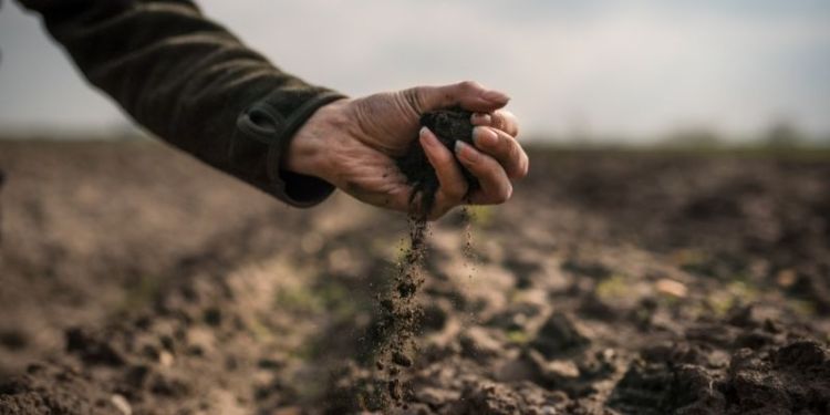 A human hand holiding a handful of soil close to the ground of a field.