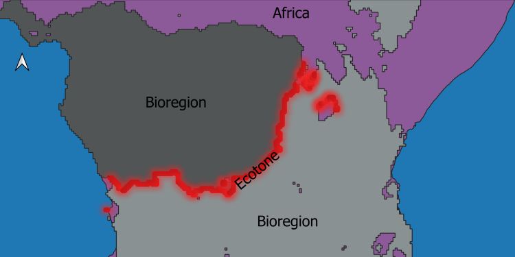 A digital diagram of ecotones, overlaid on the outline of the continent of Africa. Two sections of the land are labelled "bioregion," and the line between them, highlighted in red, is the "ecotone."