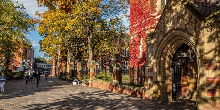 A photograph of the street outside of the Great Hall at the University of Leeds in autumn.