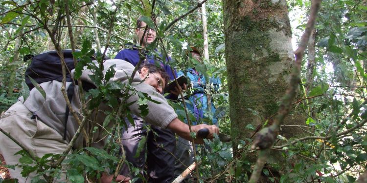 Biogeographical patterns of African plants can predict their response to global change
