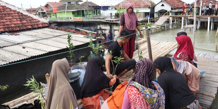 Fisherwomen lead community waste banks and climate-resilient food cultivation in Coastal Demak, Indonesia