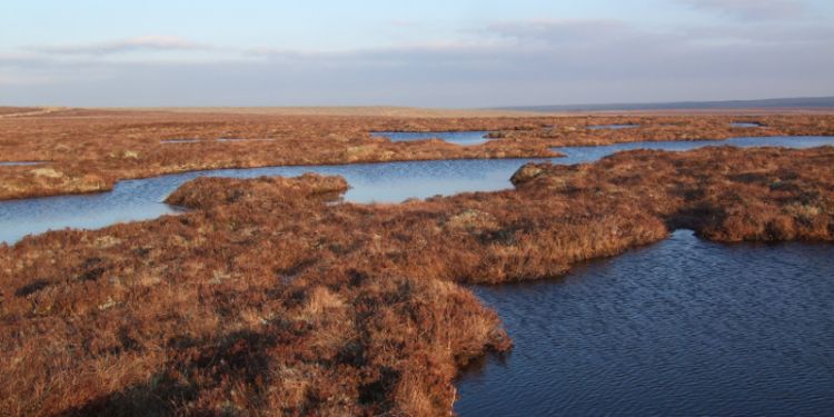 Peatland code could significantly cut greenhouse gas emissions