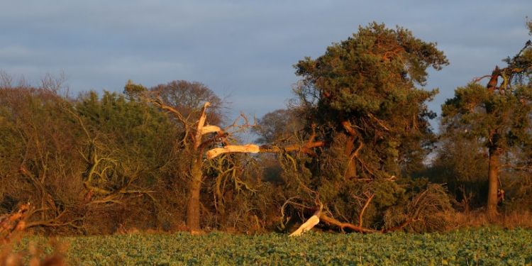 Damage caused by a tornado in Ternhill, Shropshire