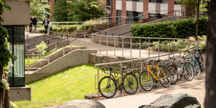 Bicycles lined up against a fence in front of a green space on campus.