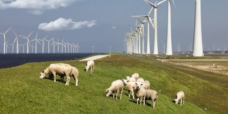 Industry 'must prepare now' for green electricity