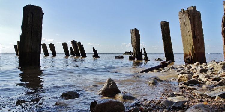 High levels of pharmaceuticals in the Humber estuary