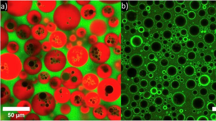- Leveraging our expertise in colloid science and biointerface modelling, we are developing smarter, more effective food systems. Our work integrates insights from cell biology to align food design with health and sustainability principles.
