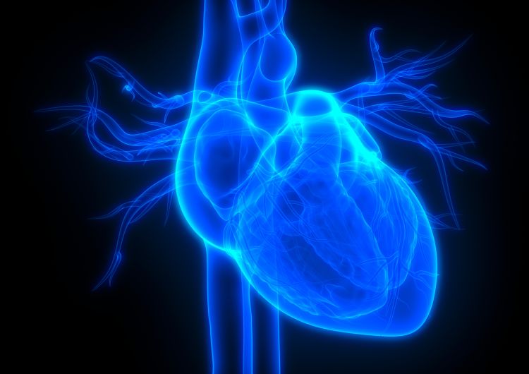 Experts urge national focus on heart health