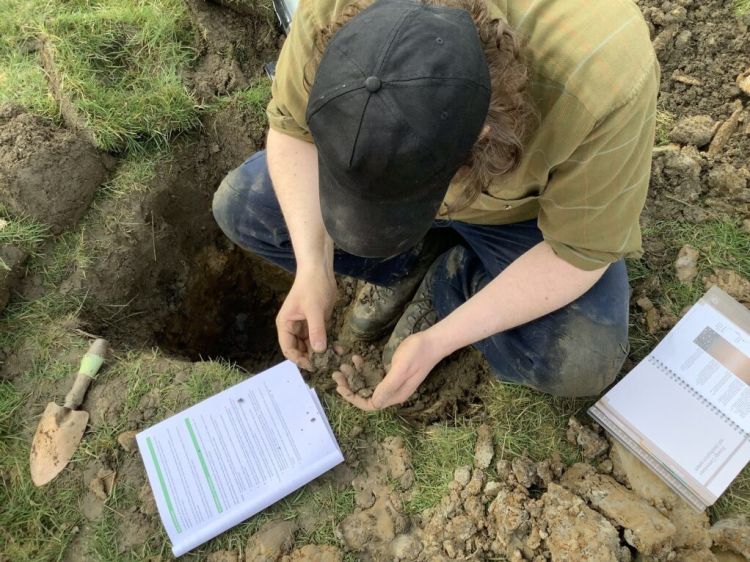 A researcher sitting on the ground next to a hole, a trowel and some documents. They're holding and looking at some soil.