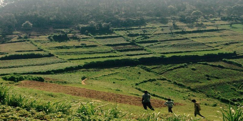 Rwanda a7 2015 800 x 400 1