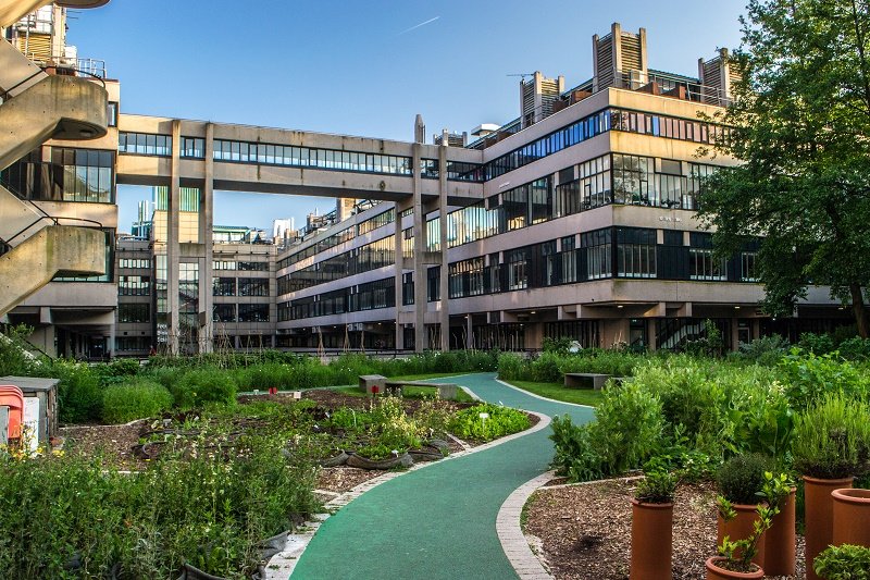 Sustainable gardens at the University of Leeds with the Garstang building in the background