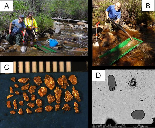 Compositional Studies on Detrital Gold