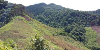 Landscape in SE Asia showing large section of deforested land