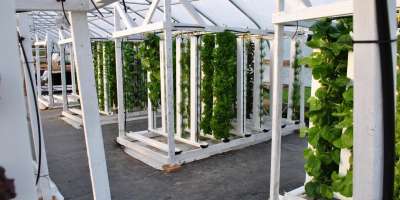 Hydroponic vertical