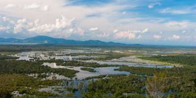 An image of peatland
