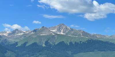 Mountain treelines