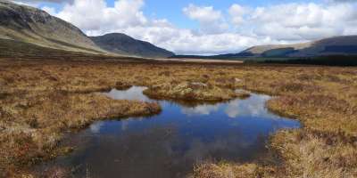 A photograph of a peatland in good condition in Dumfries and Galloway.