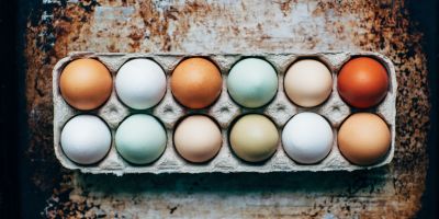 Development of plant-based egg project rated 'Outstanding' by Innovate UK