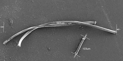 A picture of a microplastic firbe taken from an electron microscope