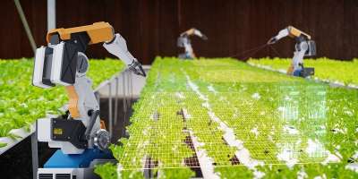 Robot arms autonomously maintaining protective netting in an agricultural nursery.