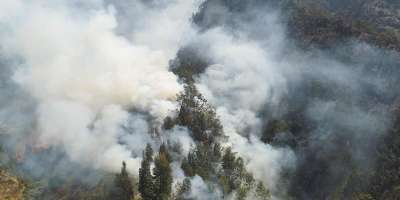 A forest fire in Indonesia.