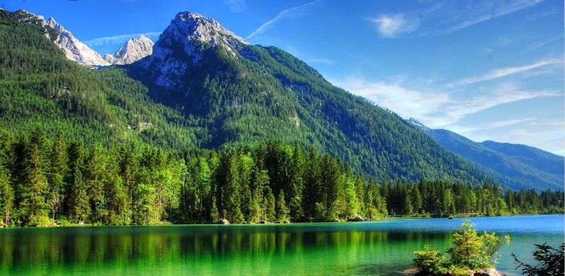 Fir tree covered mountain leading down to a lake on a clear sunny day.