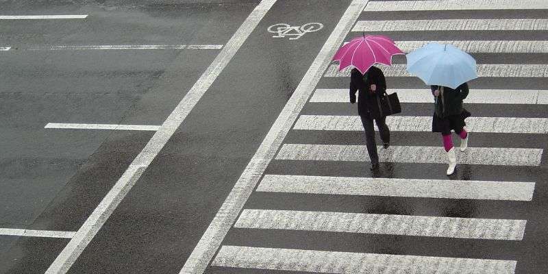Two pedestrians in the rain holding umbrellas, crossing a zebra crossing alongside a bike lane
